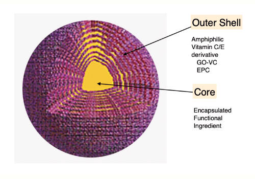 Structure of Nanosphere